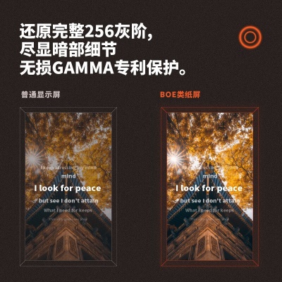 CC&JBL 透翅蝶壁画悬浮歌词音响艺术油画相框壁挂带显示字幕的无线智能蓝牙音箱挂壁纸照片网红科技感 黑色