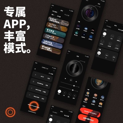 CC&JBL 透翅蝶壁画悬浮歌词音响艺术油画相框壁挂带显示字幕的无线智能蓝牙音箱挂壁纸照片网红科技感 黑色