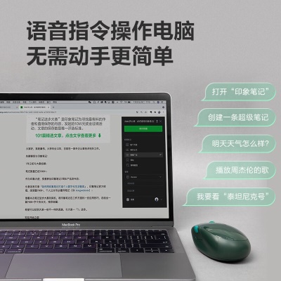 印象笔记 智能录音笔电子记事本儿童画板电子词典录音耳机办公鼠标智能手写笔 录音笔Pro升级版礼包+Paper套装